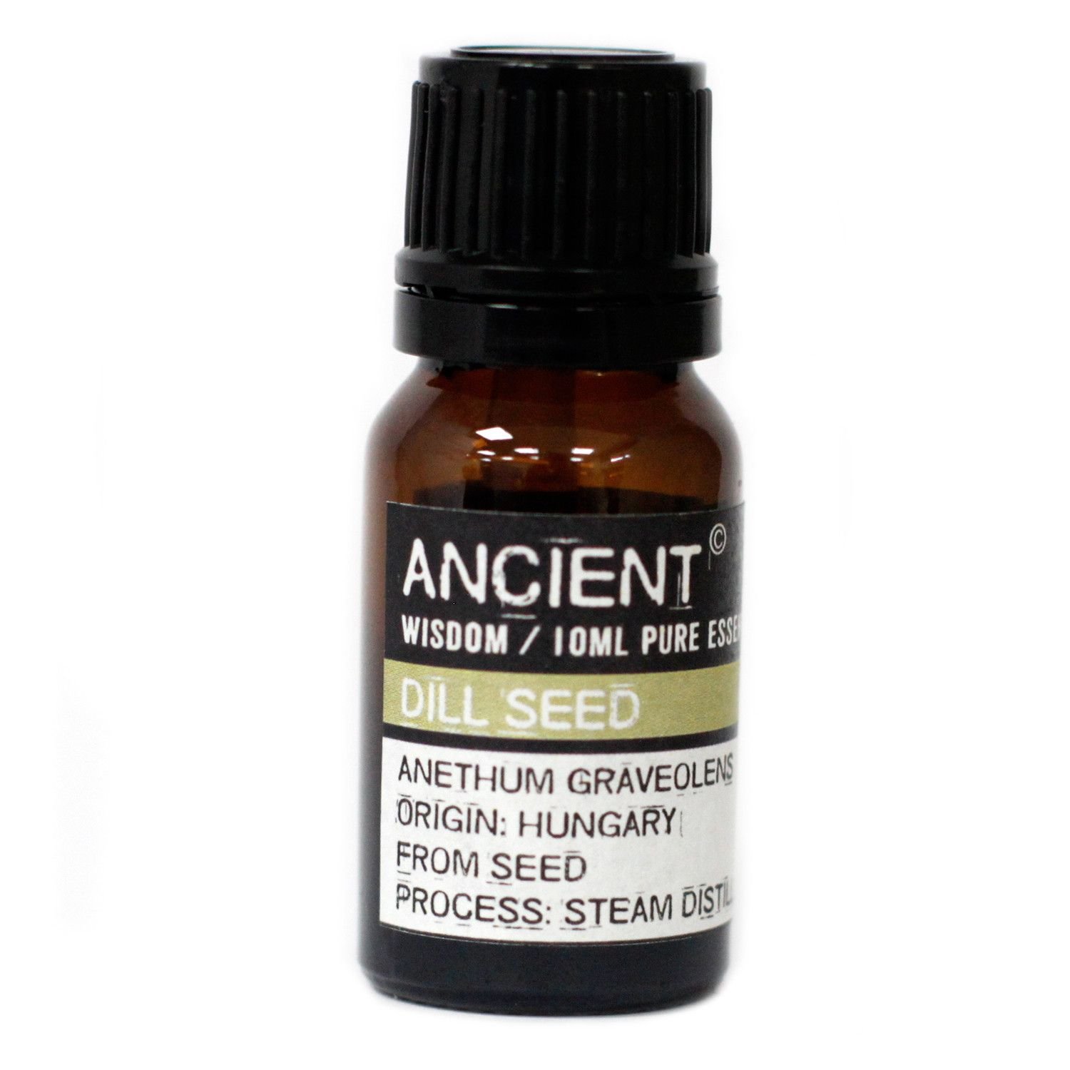 bG9jYWw6Ly9tZWRpYS85Ui8yRC82MFIzMEMxRzY0VksyRDlSLzhmMmRlMWVkLmpwZWc.jpg Ancient Wisdom Dill Seed 10ml Pure Essential Oil - Image 1