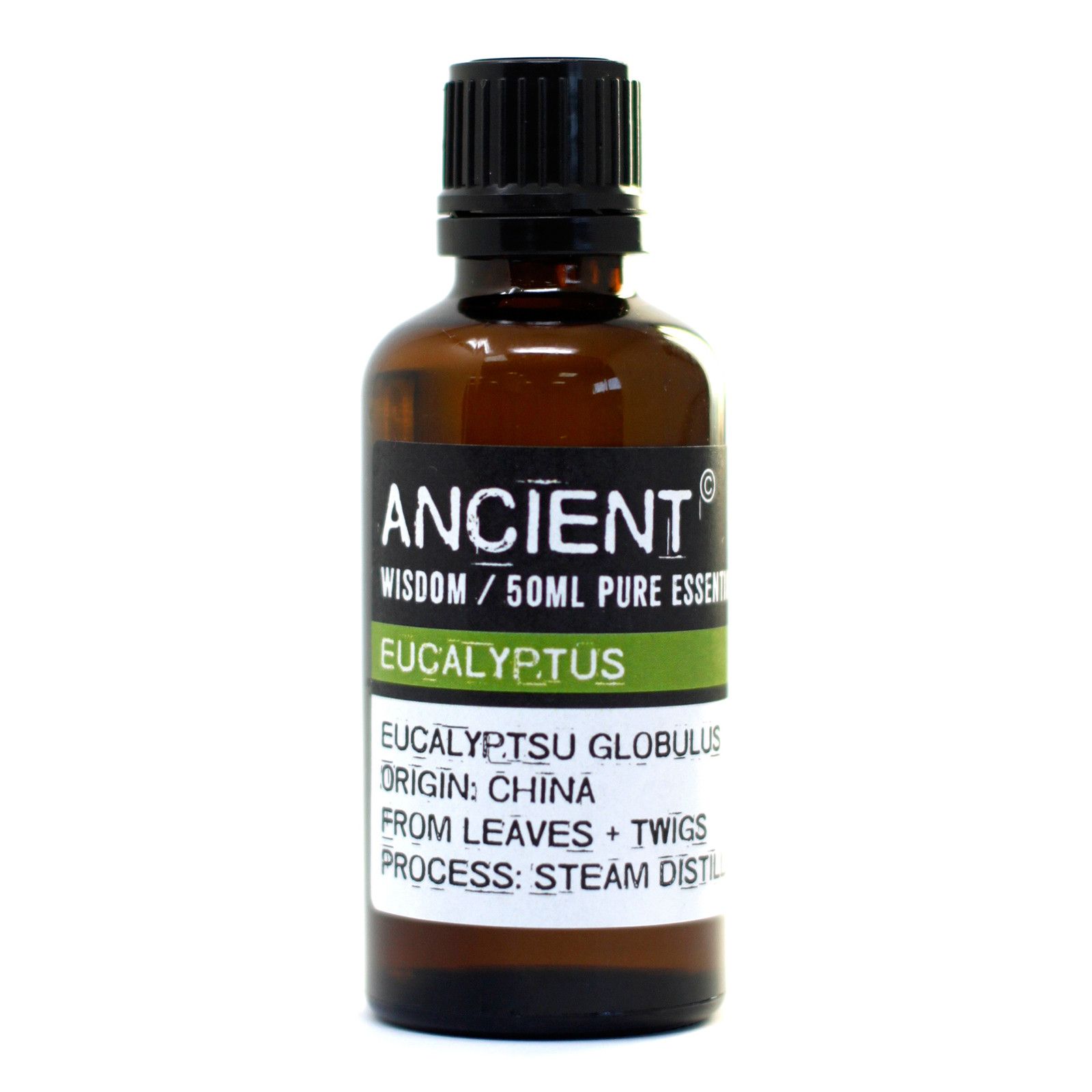 bG9jYWw6Ly9tZWRpYS8xRy9DRC82MFIzMEMxRzY0VzNDRDFHLzFhYWQ3NTA4LmpwZWc.jpg Ancient Wisdom Eucalyptus 50ml Pure Essential Oil - Image 1