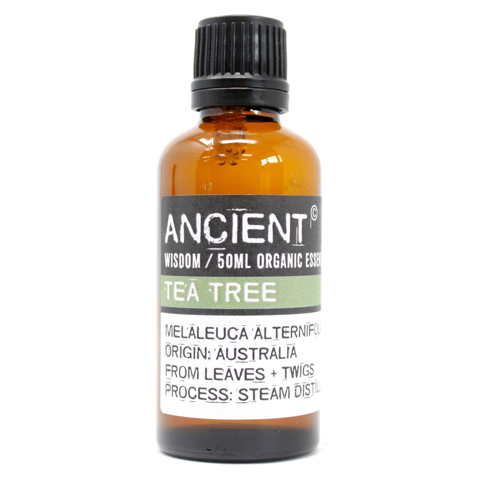 bG9jYWw6Ly9tZWRpYS8xSC80Qy82MFIzMEMxRzZDVks0QzFILzkzMzY1MDc3LmpwZWc.jpg Ancient Wisdom Tea Tree 50ml Organic Essential Oil - Image 1
