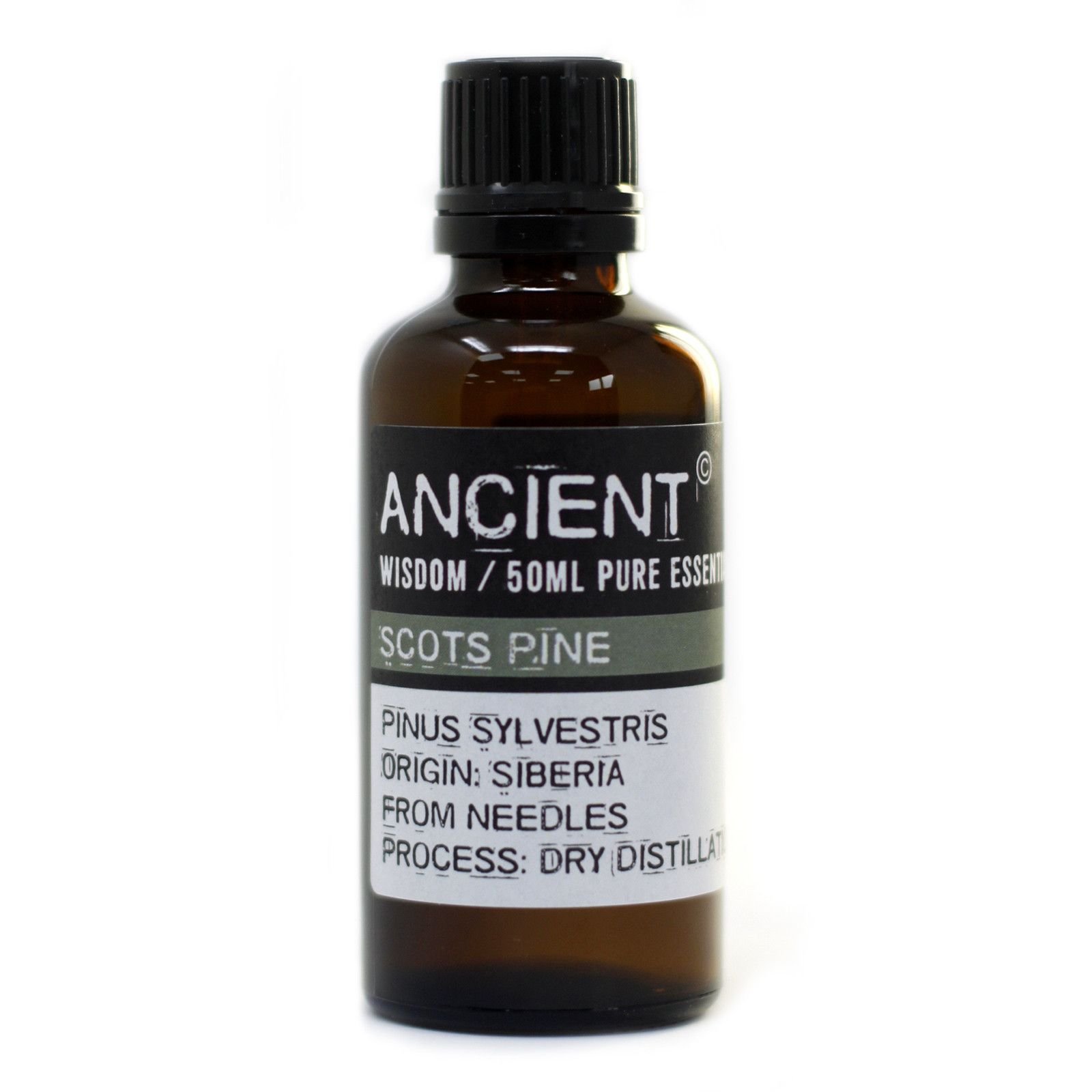 bG9jYWw6Ly9tZWRpYS8xSC8wQy82MFIzMEMxRzY4VEswQzFILzA0MjAzNThkLmpwZWc.jpg Ancient Wisdom Pine Sylvestris (Scots Pine) 50ml Pure Essential Oil - Image 1