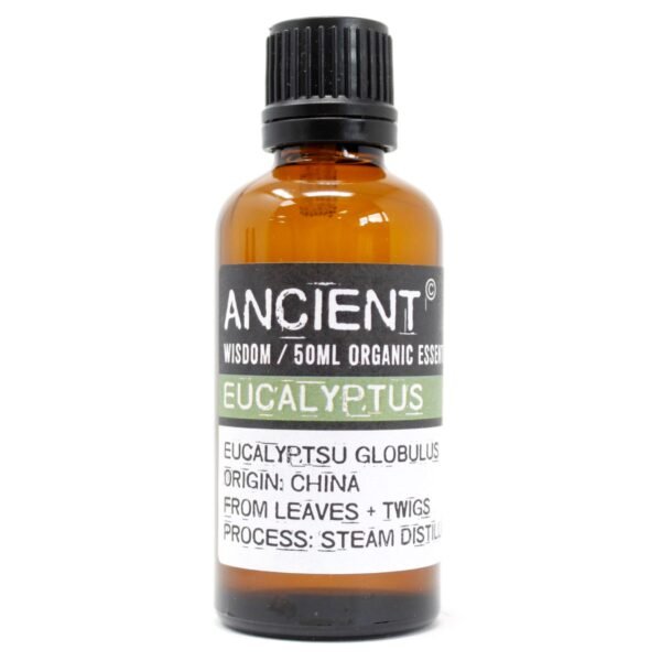 Ancient Wisdom Eucalyptus 50ml Organic Essential Oil