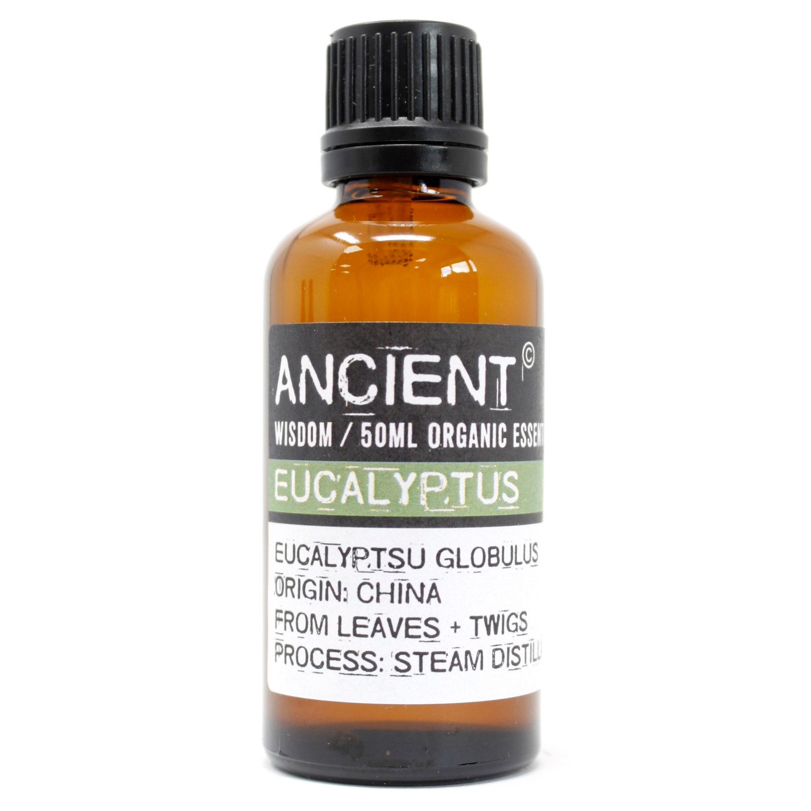 bG9jYWw6Ly9tZWRpYS8xSi80Qy82MFIzMEMxRzZDVks0QzFKLzc3ZGUyNmVmLmpwZWc.jpg Ancient Wisdom Eucalyptus 50ml Organic Essential Oil - Image 1