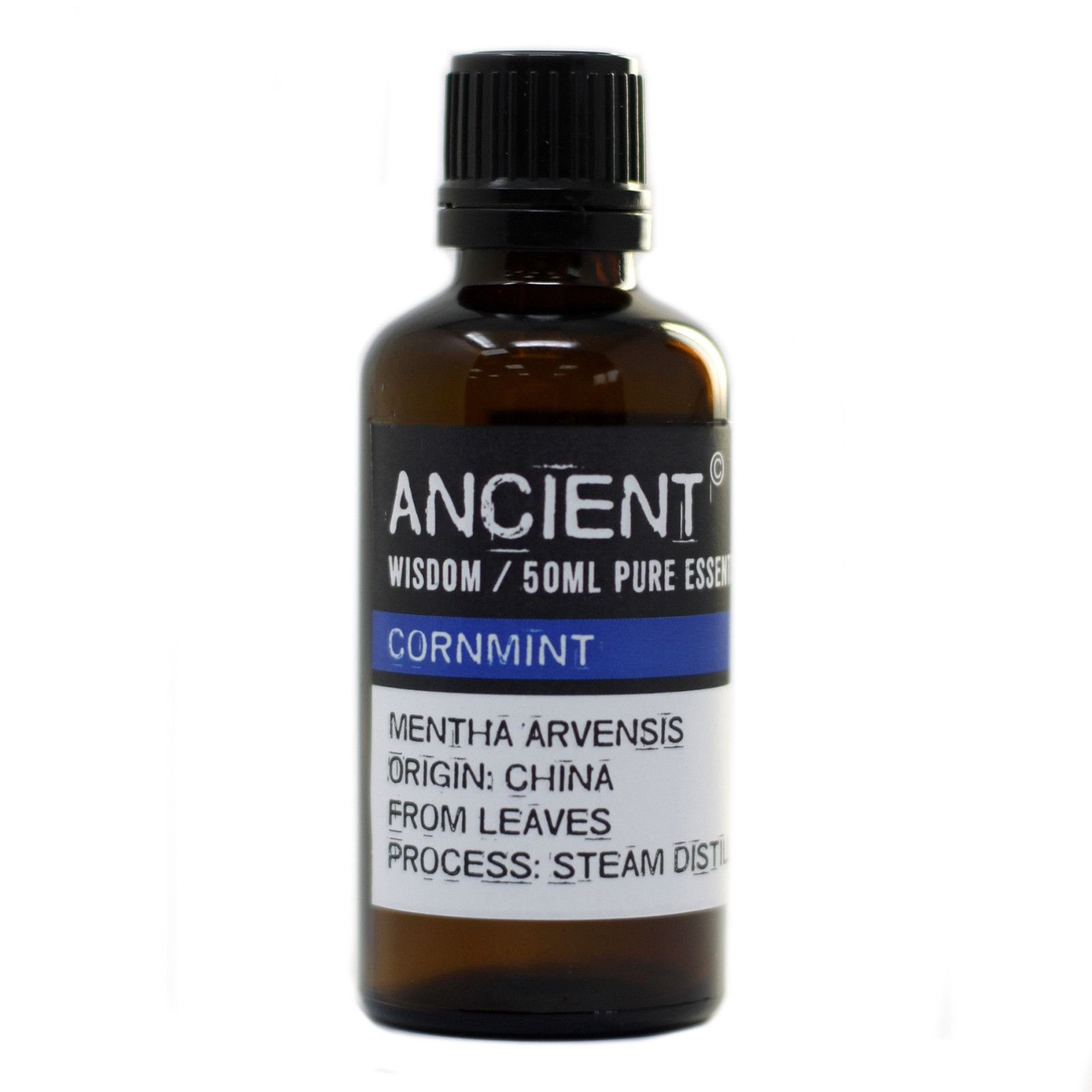 bG9jYWw6Ly9tZWRpYS8xSi8wQy82MFIzMEMxRzZDU0swQzFKL2RiOTRmYzEyLmpwZWc.jpg Ancient Wisdom Cornmint 50ml Pure Essential Oil - Image 1