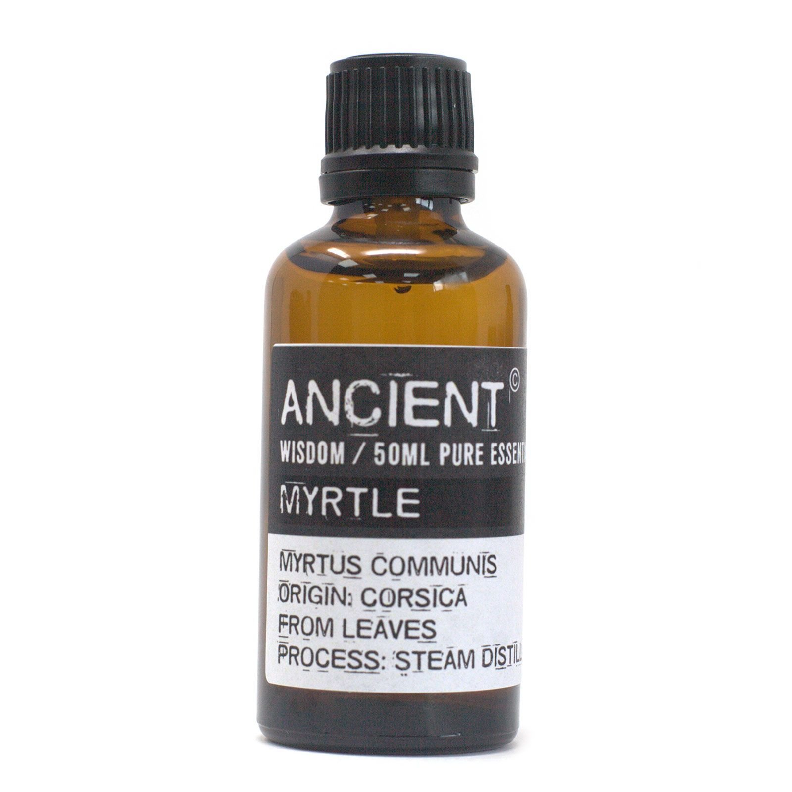 bG9jYWw6Ly9tZWRpYS8xSy84RC82MFIzMEMxRzZNV0s4RDFLL2RkNjliMWI2LmpwZWc.jpg Ancient Wisdom Myrtle 50ml Pure Essential Oil - Image 1
