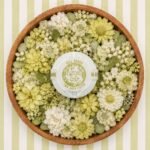 Agnes + Cat Berry & Fig Bath Fizzer Gift Set - Image 3