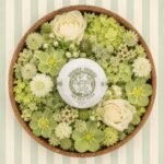 Agnes + Cat Berry & Fig Bath Fizzer Gift Set - Image 4