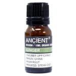 Ancient Wisdom Ginger 10ml Organic Essential Oil