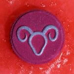 Ancient Wisdom Set of Zodiac Bath Fizzers with Horoscope - Aries - Image 4