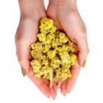 Ancient Wisdom Dried Everlasting Flowers (500g) - Image 4