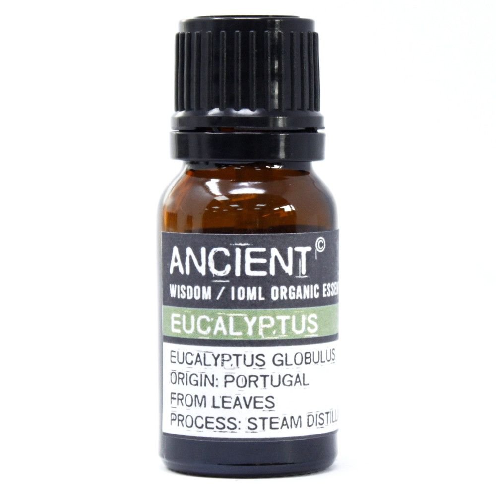 bG9jYWw6Ly9tZWRpYS9IUy8yRC82MFIzMEMxRzZDVjMyREhTLzA5ODI3MGQzLmpwZWc.jpg Ancient Wisdom Eucalyptus 10ml Organic Essential Oil - Image 1