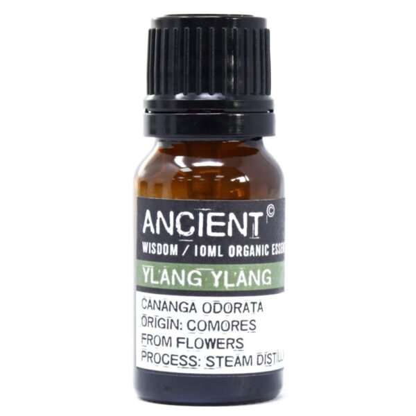 Ancient Wisdom Ylang Ylang 10ml Organic Essential Oil