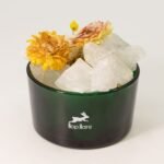Hop Hare The Lion Diffusing Crystals & Floral Set - Image 4