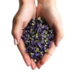 Ancient Wisdom Dried Blue Whole Mallow Flowers (500g) - Image 3