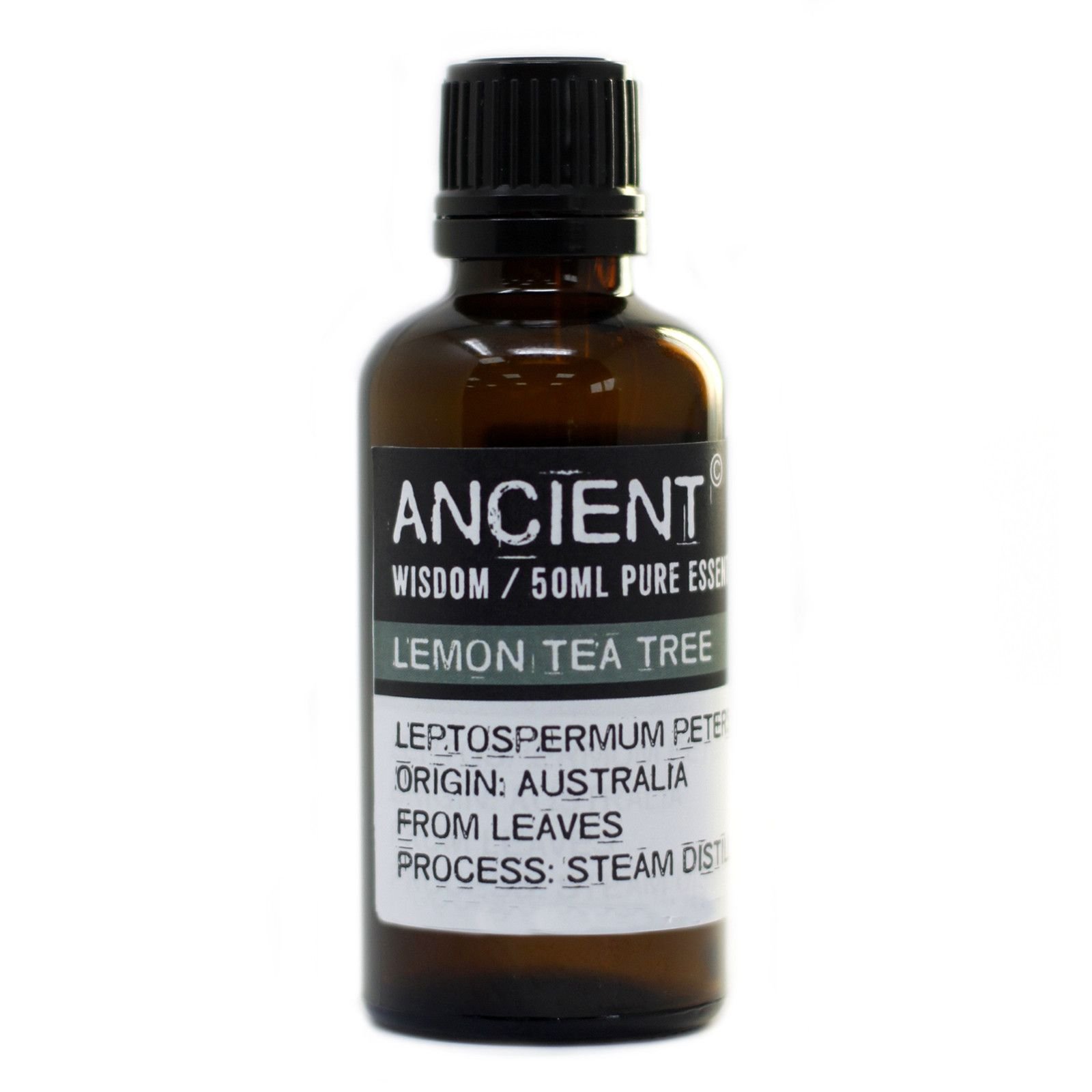 bG9jYWw6Ly9tZWRpYS9TUy82Qy82MFIzMEMxRzY4UjM2Q1NTLzNjODgwYWNkLmpwZWc.jpg Ancient Wisdom Lemon Tea Tree 50ml Pure Essential Oil - Image 1