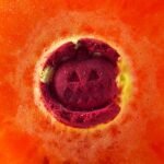 Ancient Wisdom Aniseed Halloween Bath Bomb - Image 2