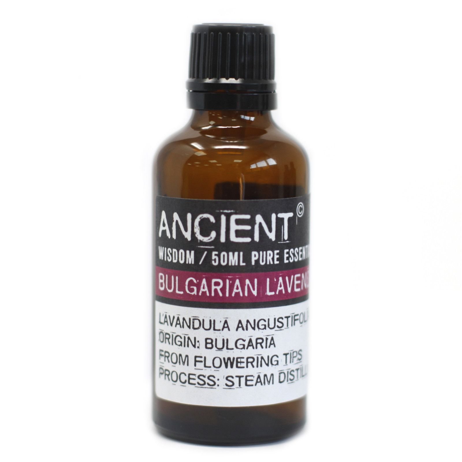 bG9jYWw6Ly9tZWRpYS9TUy9HQy82MFIzMEMxRzZNVjNHQ1NTLzAzMTNlODBiLmpwZWc.jpg Ancient Wisdom Bulgarian Lavender 50ml Pure Essential Oil - Image 1