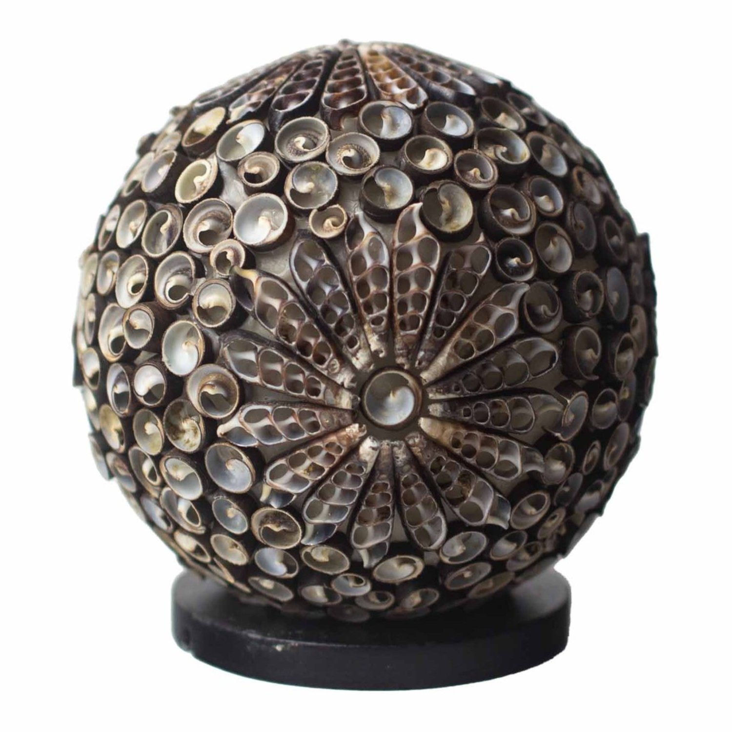 BBSL-05 Ancient Wisdom Chocolate Twist Globe 15cm Boho Sea Shell Lamp Ancient Wisdom Chocolate Twist Globe 15cm Boho Sea Shell Lamp - Image 1