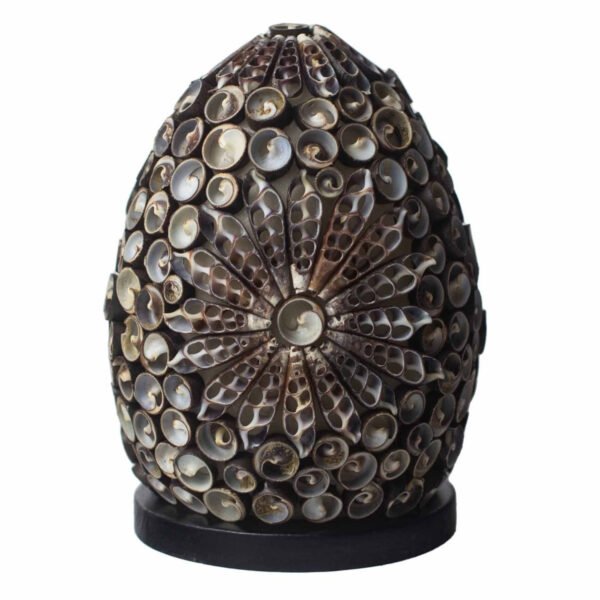 Ancient Wisdom Chocolate Twist Oval 15cm Boho Sea Shell Lamp