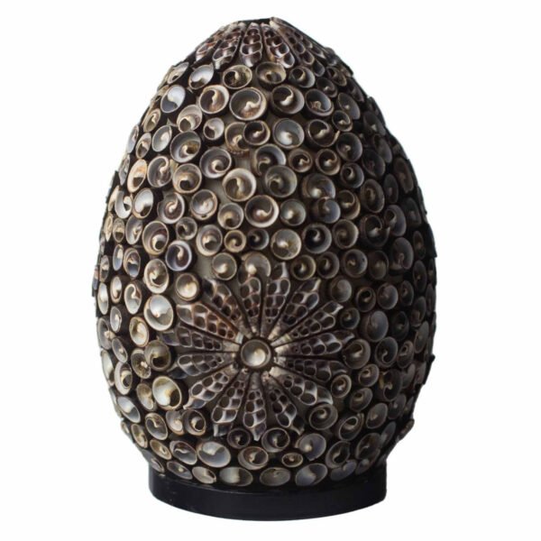 Ancient Wisdom Chocolate Twist Oval 20cm Boho Sea Shell Lamp