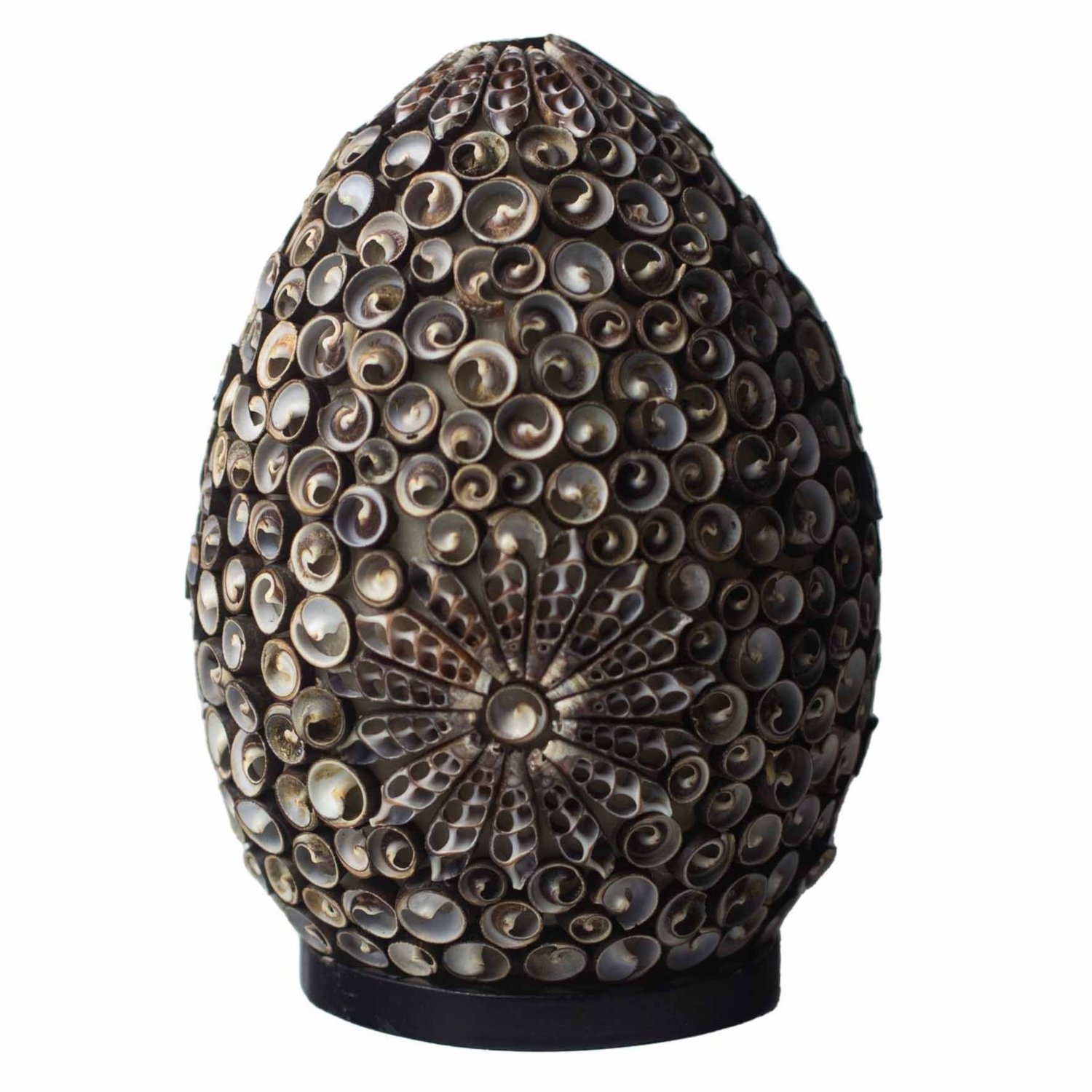BBSL-07 Ancient Wisdom Chocolate Twist Oval 20cm Boho Sea Shell Lamp Ancient Wisdom Chocolate Twist Oval 20cm Boho Sea Shell Lamp - Image 1