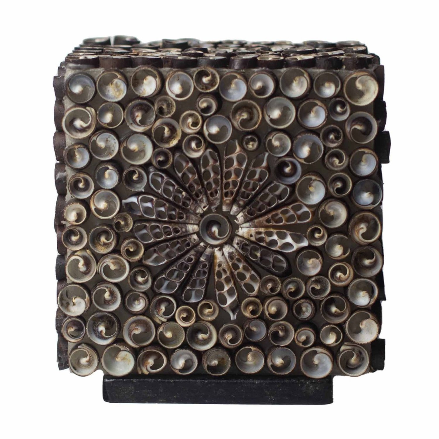 BBSL-08 Ancient Wisdom Chocolate Twist Square 15cm Boho Sea Shell Lamp Ancient Wisdom Chocolate Twist Square 15cm Boho Sea Shell Lamp - Image 1