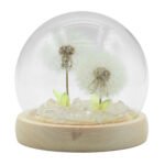 Ancient Wisdom LED Floral Glow Garden Dome Light – 2 Dandelions