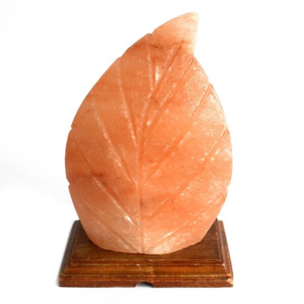 Ancient Wisdom Crafted Himalayan Salt Fern Shaped Lamp