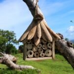 Ancient Wisdom Handcrafted Driftwood Bee & Insect Box - Image 3