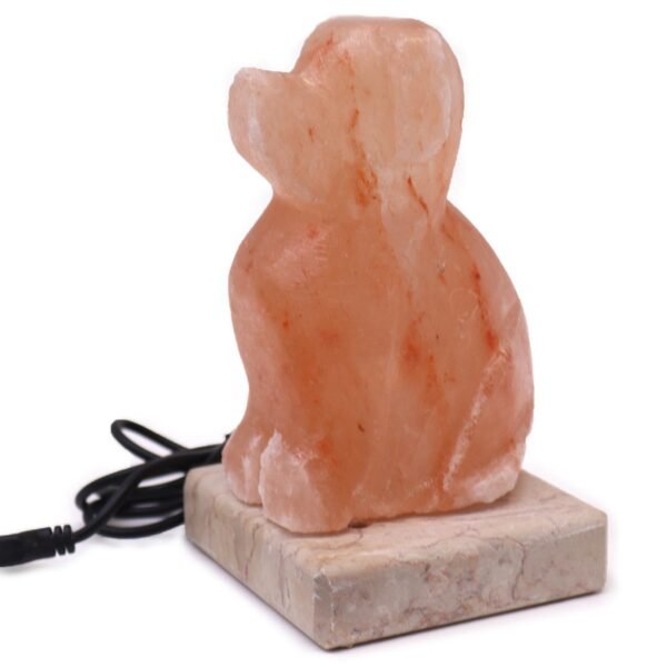 Ancient Wisdom Dog Shaped Multicolour USB Himalayan Salt Lamp