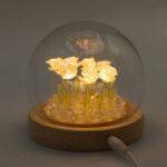 Ancient Wisdom LED Floral Glow Garden Dome Light – 10 Pink Roses - Image 2