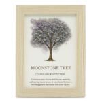 Ancient Wisdom Gemstone Framed Picture - Tree of Life - Moonstone  (20x14.7x1cm)