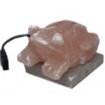 Ancient Wisdom Toad Shaped Multicolour USB Himalayan Salt Lamp