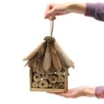 Ancient Wisdom Handcrafted Driftwood Bee & Insect Box - Image 2