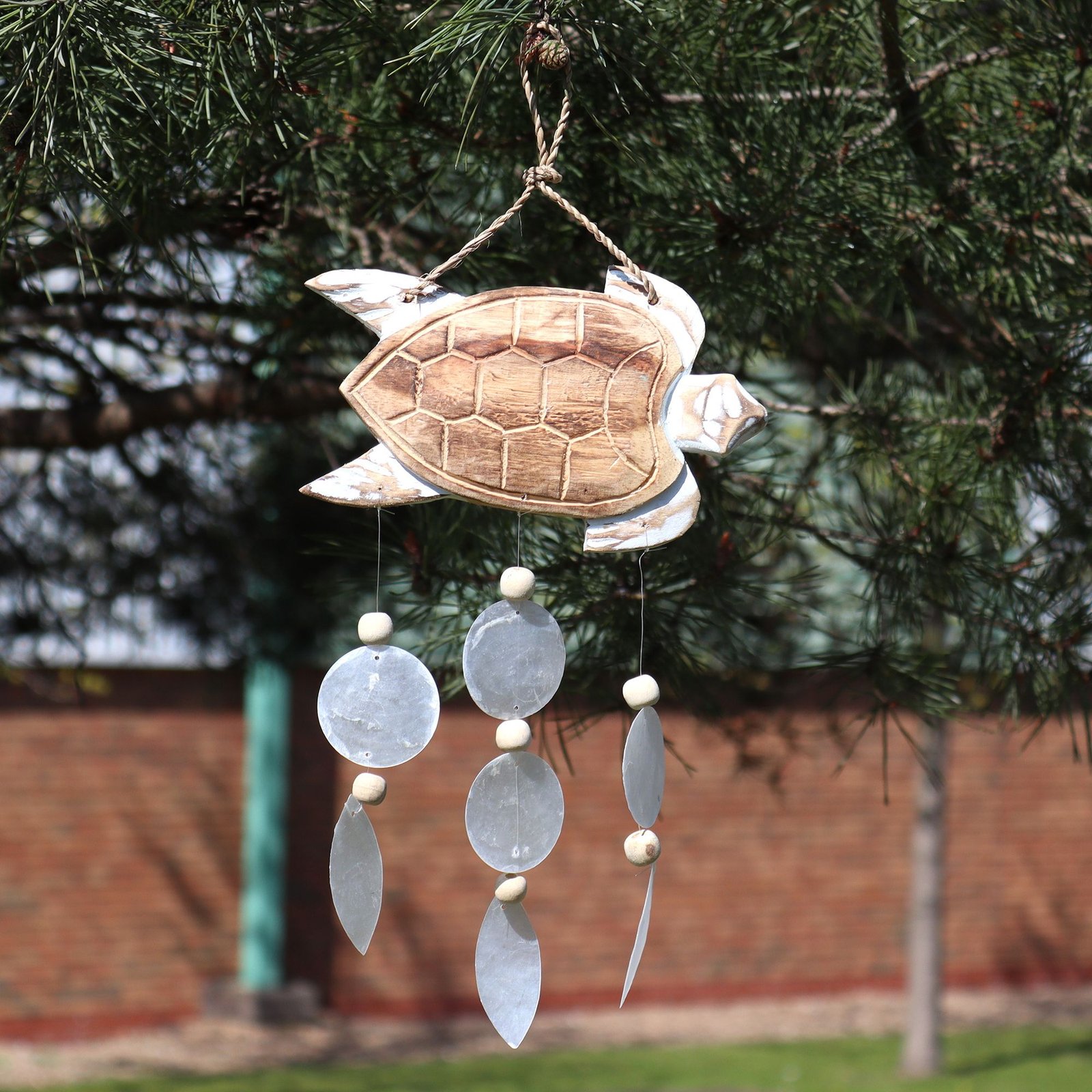bG9jYWw6Ly9tZWRpYS85TS80Qy82MFIzMEMxSDc0U0s0QzlNLzdlMzQyOTcwLmpwZWc.jpg Ancient Wisdom Whitewash Turtle Carving & Natural Copis Drop Wind Chime - Image 1
