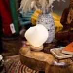Ancient Wisdom Shell Twisted New Wave USB Lamp - Image 2