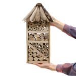 Ancient Wisdom Handcrafted Driftwood Bee & Insect Highrise Box - Image 2
