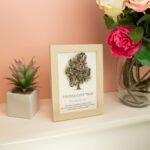 Ancient Wisdom Gemstone Framed Picture - Tree of Life - Toruraline (20x14.7x1cm) - Image 3