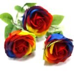Ancient Wisdom Luxury Rainbow Design Single Soap Flower - Image 4