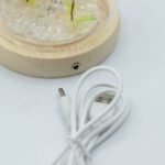 Ancient Wisdom LED Floral Glow Garden Dome Light – 2 Dandelions - Image 4