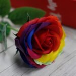 Ancient Wisdom Luxury Rainbow Design Single Soap Flower - Image 3