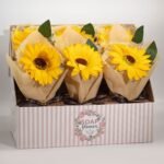 Ancient Wisdom Single Soap Sunflower - Image 2