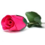 Ancient Wisdom Small Pink Rose Soap Flower