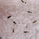 Ancient Wisdom Lavender & Seeds Himalayan Bath Salt Blend 500g – Relax - Image 2