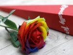 Ancient Wisdom Luxury Rainbow Design Single Soap Flower - Image 2