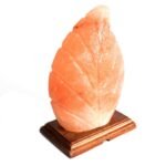 Ancient Wisdom Crafted Himalayan Salt Fern Shaped Lamp - Image 4