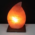 Ancient Wisdom Crafted Himalayan Salt Fern Shaped Lamp - Image 2