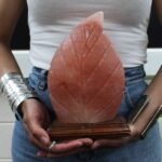 Ancient Wisdom Crafted Himalayan Salt Fern Shaped Lamp - Image 3