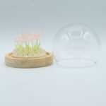 Ancient Wisdom LED Floral Glow Garden Dome Light – 10 Pink Roses - Image 5