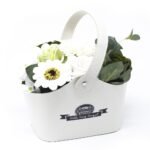 Ancient Wisdom Pastel Green Soap Flowers Bouquet Petite Basket