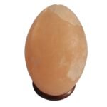 Ancient Wisdom Himalayan Salt Wooden Base Egg Shaped Lamp